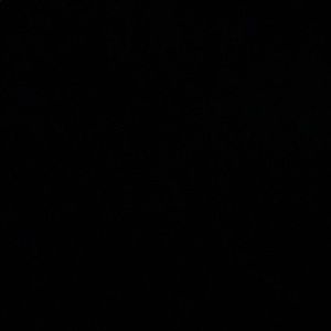 Meet your Posher, Malik